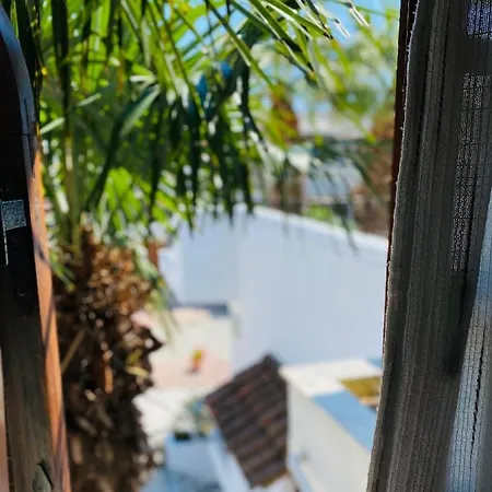 Tzogalis * Kallithea (Chalkidiki)