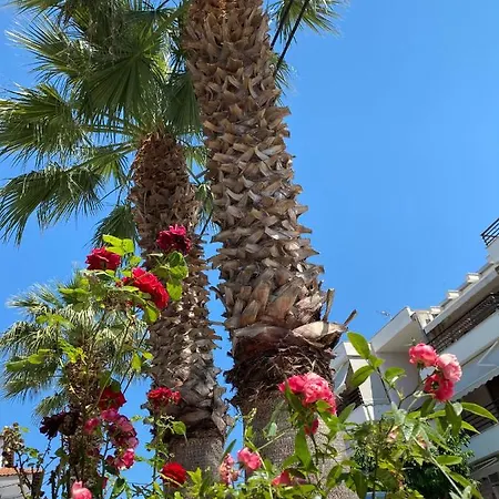 Tzogalis * Kallithea (Chalkidiki)