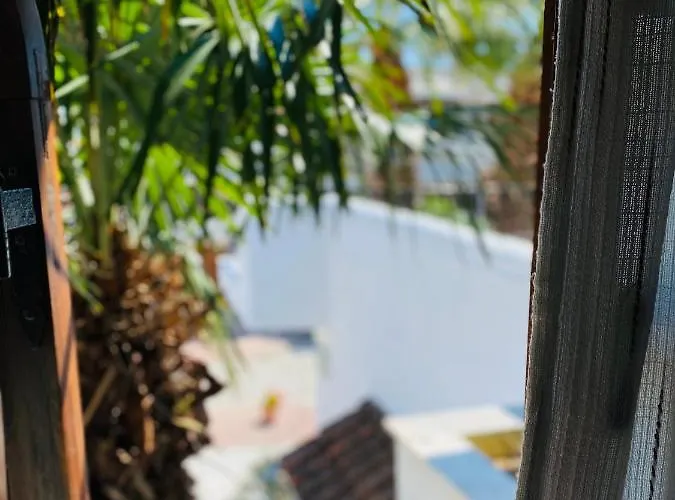 Tzogalis * Kallithea (Chalkidiki)